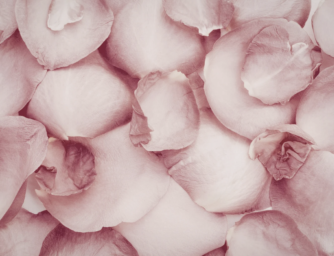 Floral Mist Facial Toner